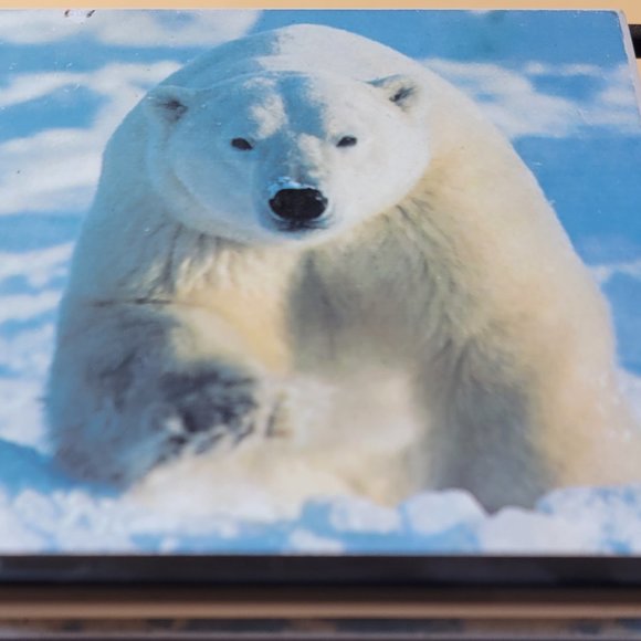 Polar bear coasters in a holder set of four - Picture 5 of 6